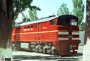 Красота спасет мир.jpg