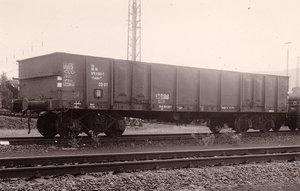 36143748192_a042f497ac_c.jpg