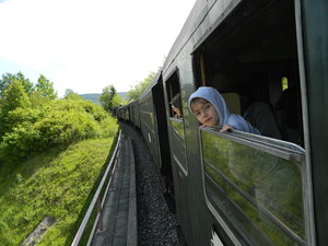 Wutachtalbahn DSCN3381.JPG