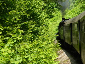 Wutachtalbahn DSCN3482.JPG