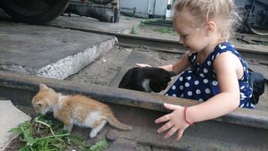 WhatsApp Image 2018-07-25 at 20.40.46(1).jpeg