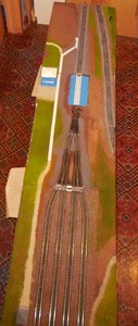 DSCN7142.JPG