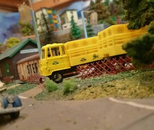 DSC_0013 (3).JPG