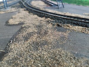 IMG_20200625_172211.jpg