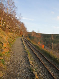 11 045.jpg