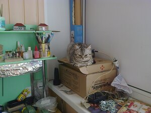 Не пускает меня, гад.