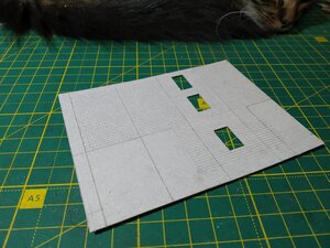 IMG_20201119_191533.jpg