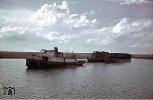 p5.jpg