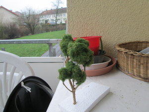 23-01- 2016 004.jpg