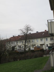 derevo 2 002.jpg