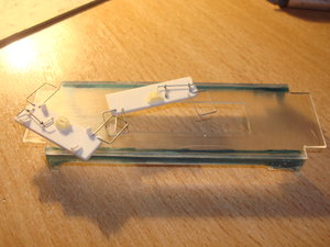 DSC07985.JPG