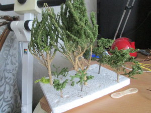 IMG_1803.JPG