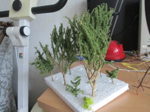 IMG_1804.JPG