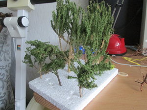 IMG_1805.JPG
