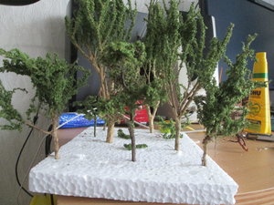 IMG_1807.JPG