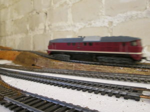 IMG_1825.JPG