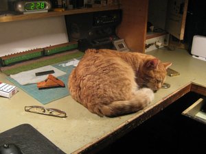 Изображение 029.jpg