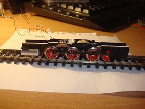 DSC08052.JPG