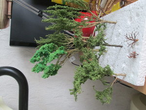 IMG_1866.JPG