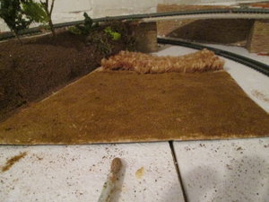 IMG_1915.JPG