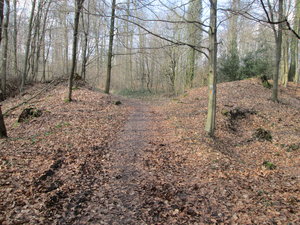 IMG_1868.JPG
