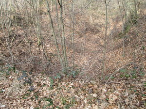 IMG_1872.JPG