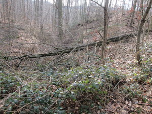 IMG_1873.JPG