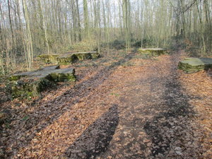 IMG_1877.JPG