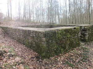 IMG_1893.JPG