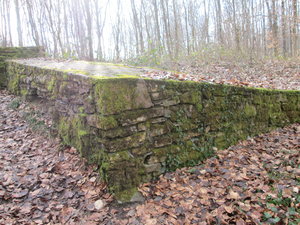 IMG_1895.JPG