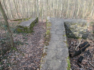 IMG_1899.JPG