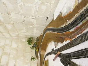 IMG_1955.JPG