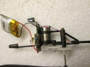 IMG_1951.JPG