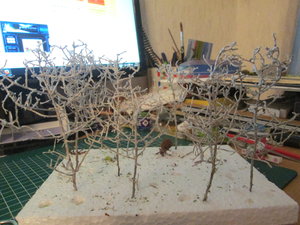 IMG_1976.JPG