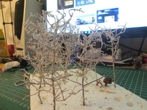 IMG_1977.JPG