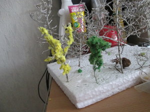 IMG_2124.JPG