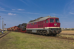 DB 130 101-9(2019).jpg (209.03 Кіб) Переглянуто 4638 разів 130 101-9 вже як музейний ходовий експонат. Прототип, майже повністю відповідний до серії 132.