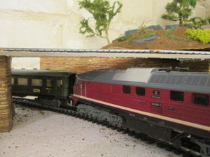 IMG_2184.JPG