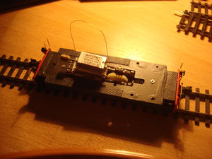 DSC08724.JPG