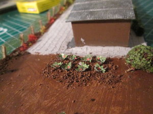 IMG_2484.JPG
