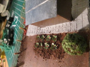 IMG_2485.JPG