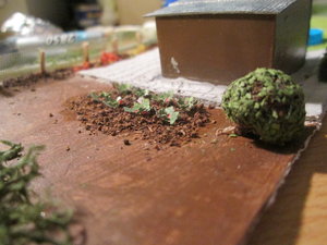 IMG_2487.JPG
