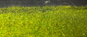 Попытка сделать бордюр и флока 10мм. Грустно