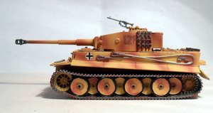 tiger 4.jpg