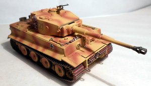 tiger 6.jpg