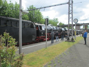 IMG_2623.JPG