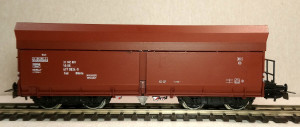 waginische (1).JPG