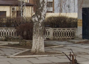 Ограда 1972г.jpg