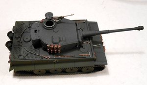 tiger 1 24.jpg