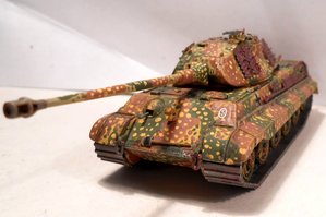 tiger 2 23.jpg